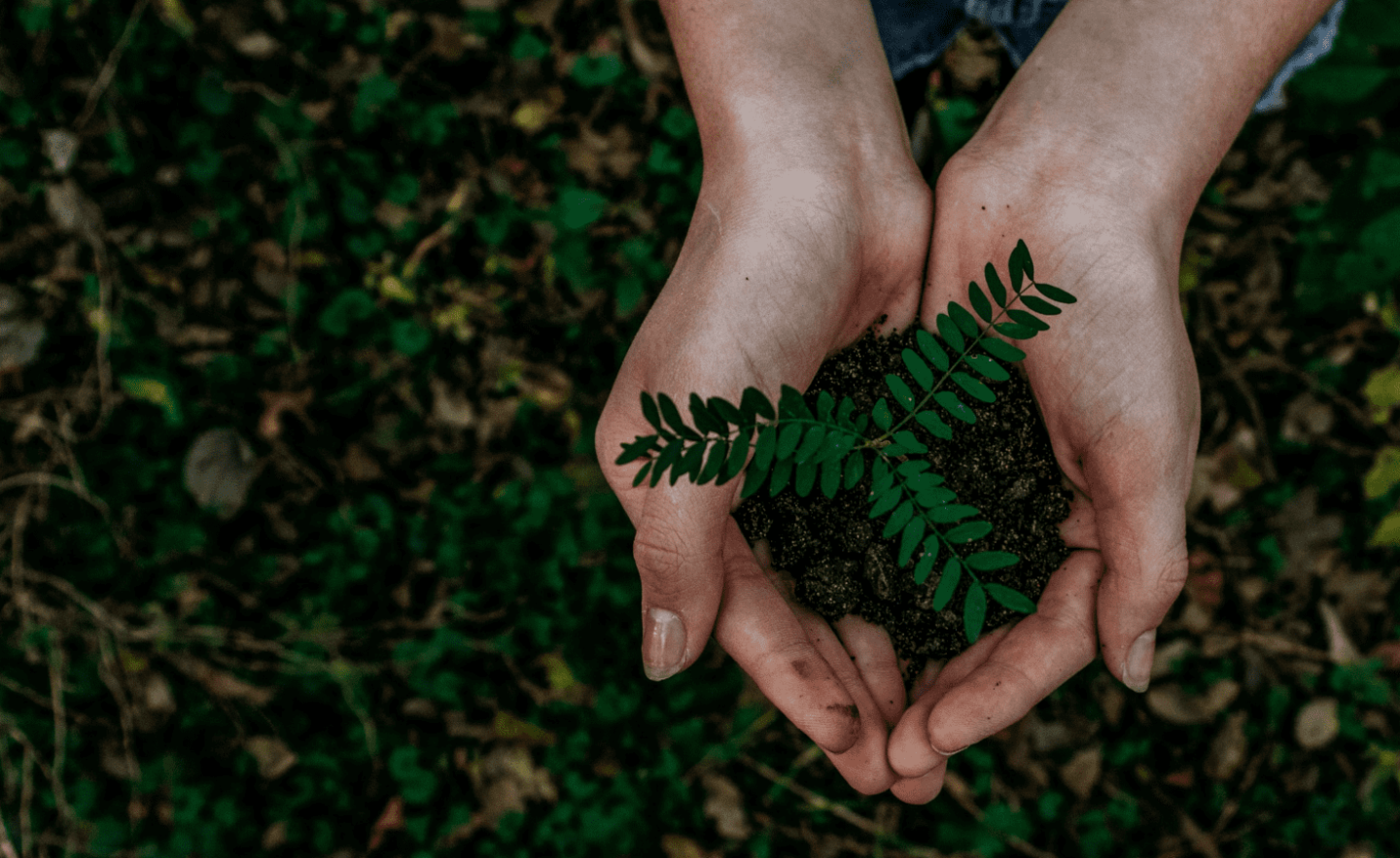noah-buscher-x8zstuks2pm-unsplash.png